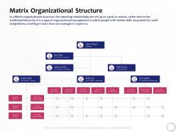 Matrix organizational structure system ppt powerpoint presentation gallery