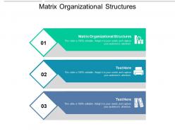 Matrix organizational structures ppt powerpoint presentation styles themes cpb