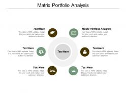 Matrix portfolio analysis ppt powerpoint presentation inspiration slide download cpb