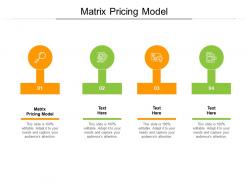 Matrix pricing model ppt powerpoint presentation show graphics cpb