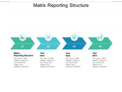 Matrix reporting structure ppt powerpoint presentation ideas outfit cpb