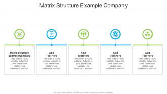 Matrix Structure Example Company In Powerpoint And Google Slides Cpb