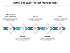 Matrix structure project management ppt powerpoint presentation outline design ideas cpb