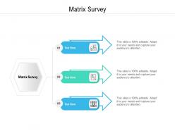 Matrix survey ppt powerpoint presentation professional backgrounds cpb