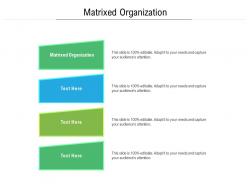 Matrixed organization ppt powerpoint presentation infographics professional cpb