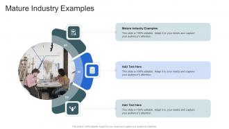 Mature Industry Examples In Powerpoint And Google Slides Cpb
