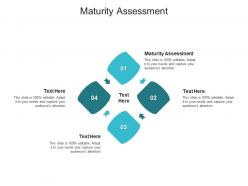 Maturity assessment ppt powerpoint presentation file microsoft cpb
