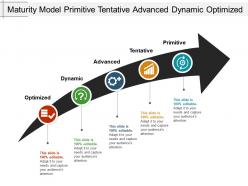 Maturity Model Primitive Tentative Advanced Dynamic Optimized