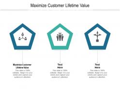 Maximize customer lifetime value ppt powerpoint presentation file vector cpb