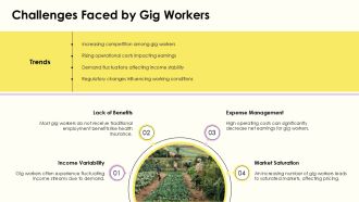 Maximizing Earnings In The Food Gig Economy PPT Presentation AT Appealing Captivating