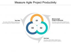 Measure agile project productivity ppt powerpoint presentation model gallery cpb