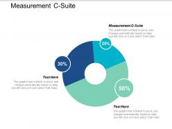 Measurement c suite ppt powerpoint presentation styles structure cpb