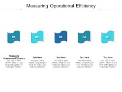 Measuring operational efficiency ppt powerpoint presentation professional template cpb
