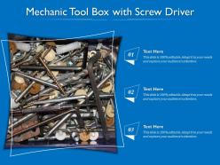 Mechanic Tool Box With Screw Driver