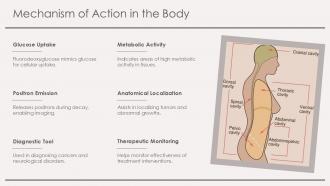 Mechanism Of Action In The Body Fluorodeoxyglucose PPT Sample ST AI SS