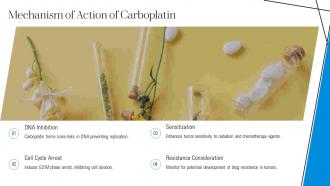 Mechanism Of Action Of Carboplatin Paclitaxel PPT Summary ACP