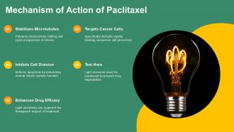 Mechanism Of Action Of Paclitaxel Light PPT Summary ACP