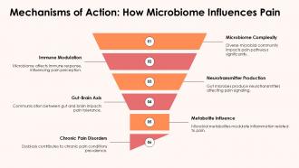 Mechanisms Of Action How Microbiome Influences Pain PPT Summary ACP