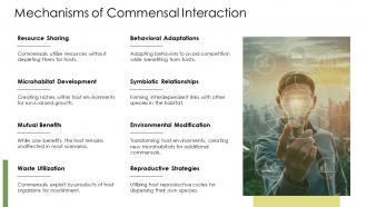 Mechanisms Of Commensal Interaction Commensalism Ecology PPT Slides ACP