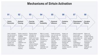 Mechanisms Of Sirtuin Activation PPT Designs ST AI SS