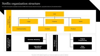 Media And Entertainment Company Netflix Organization Structure CP SS V