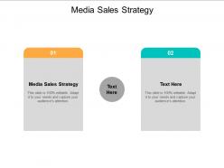 Media sales strategy ppt powerpoint presentation infographics graphics example cpb