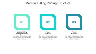 Medical billing pricing structure ppt powerpoint presentation gallery design ideas cpb