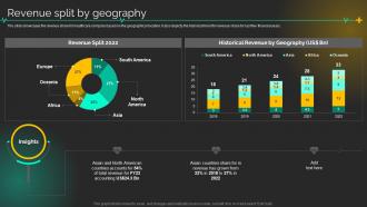 Medical Care Company Profile Revenue Split By Geography Ppt Styles Graphics Pictures