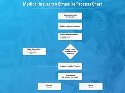 Medical insurance structure process chart