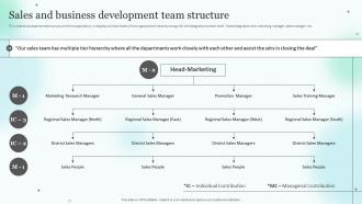 Medical Sales Representative Strategy Playbook Sales And Business Development Team Structure