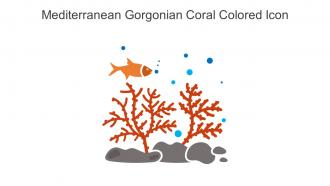 Mediterranean Gorgonian Coral Colored Icon In Powerpoint Pptx Png And Editable Eps Format
