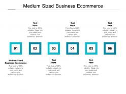 Medium sized business ecommerce ppt powerpoint presentation professional deck cpb
