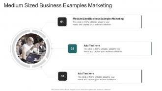 Medium Sized Business Examples Marketing In Powerpoint And Google Slides Cpb