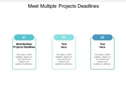 Meet multiple projects deadlines ppt powerpoint presentation file graphics example cpb