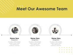 Meet our awesome team capture m1646 ppt powerpoint presentation infographics tips