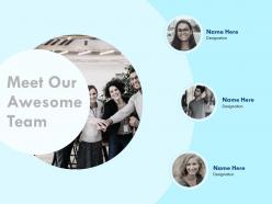Meet our awesome team designation n267 ppt powerpoint presentation example