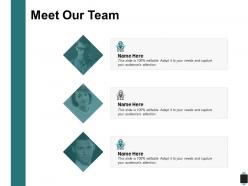 Meet our team introduction c203 ppt powerpoint presentation outline infographic template
