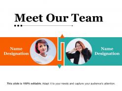 Meet our team ppt examples