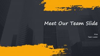 Meet Our Team Slide PPT Summary AT
