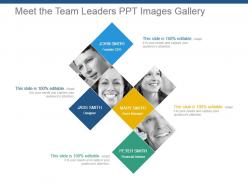Meet the team leaders ppt images gallery