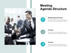 Meeting agenda structure ppt powerpoint presentation styles cpb