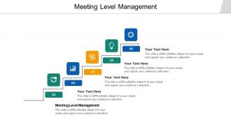 Meeting level management ppt powerpoint presentation inspiration cpb
