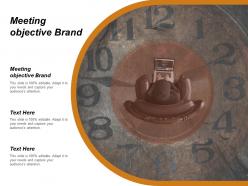 Meeting objective brand ppt powerpoint presentation file slide download cpb