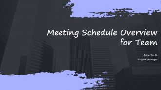Meeting Schedule Overview For Team PPT Example ACP