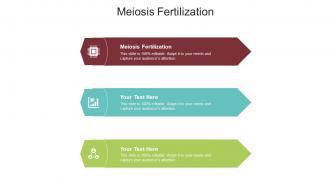 Meiosis fertilization ppt powerpoint presentation slides grid cpb