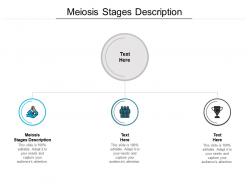 Meiosis stages description ppt powerpoint presentation infographic template layout cpb