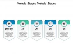 Meiosis stages meiosis stages ppt powerpoint presentation show background designs cpb