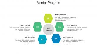 Mentor program ppt powerpoint presentation summary gridlines cpb