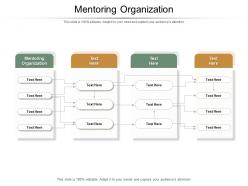 Mentoring organization ppt powerpoint presentation slides backgrounds cpb