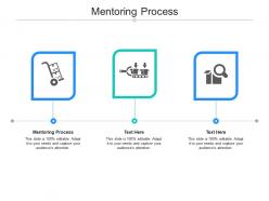 Mentoring process ppt powerpoint presentation inspiration ideas cpb